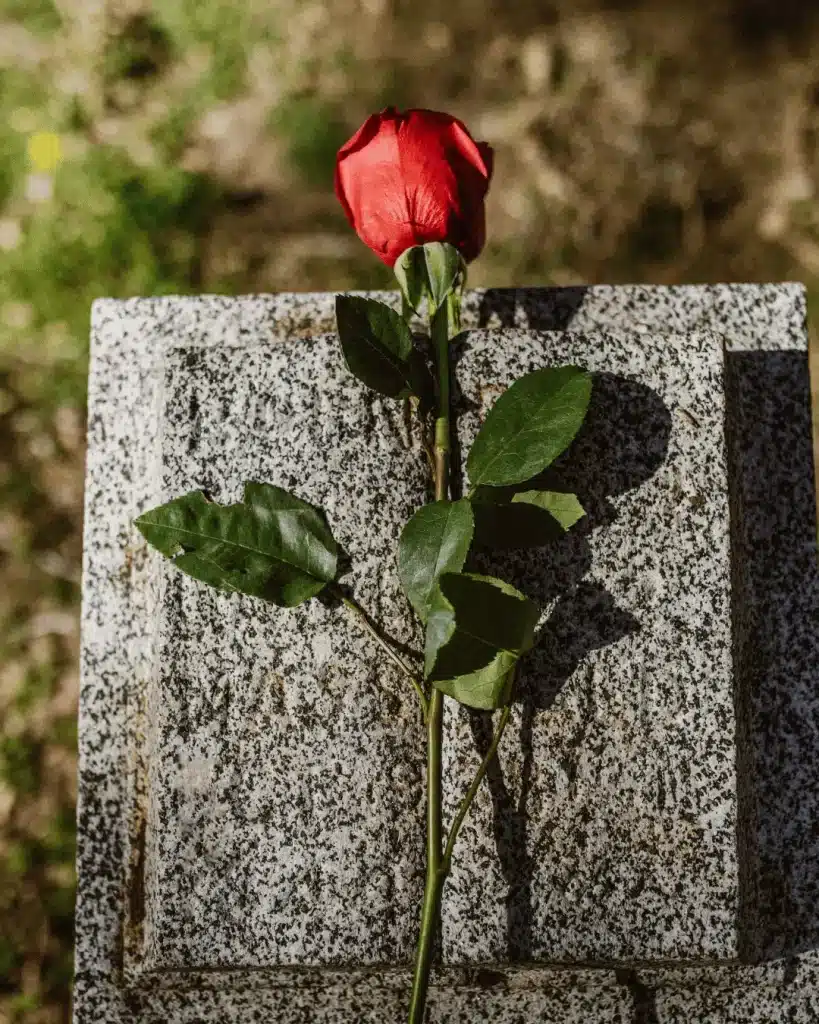 A picture of a rose in front of a tombstone.